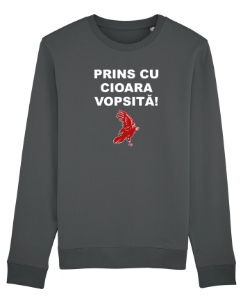 PRINS CU CIOARA VOPSITA Anthracite