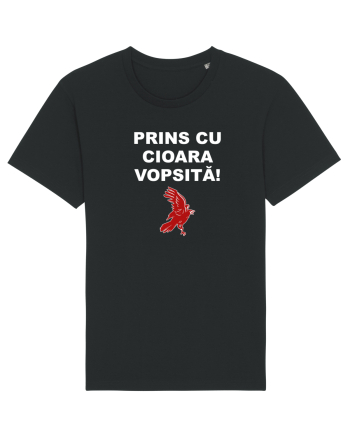 PRINS CU CIOARA VOPSITA Black