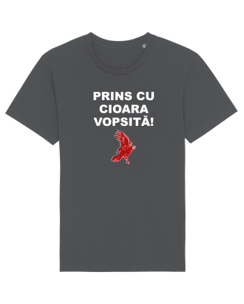 PRINS CU CIOARA VOPSITA Anthracite