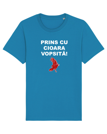 PRINS CU CIOARA VOPSITA Azur