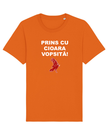 PRINS CU CIOARA VOPSITA Bright Orange