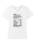Planet Earth Nutritional Facts Tricou mânecă scurtă guler V Bărbat Presenter