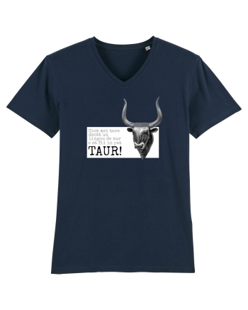 Taur Mare French Navy