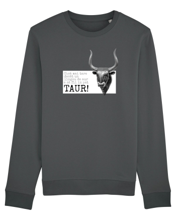 Taur Mare Anthracite