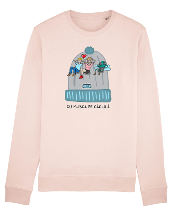 Cu musca pe căciulă... de Valentines Day Candy Pink