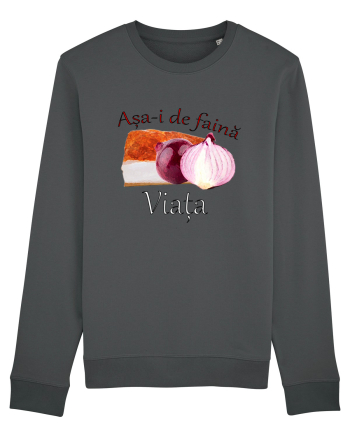 Asa-i de faina viata Anthracite