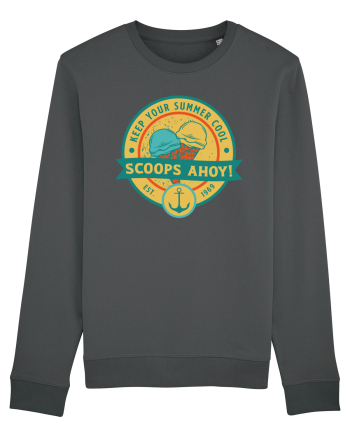 Scoop Ahoy! Anthracite