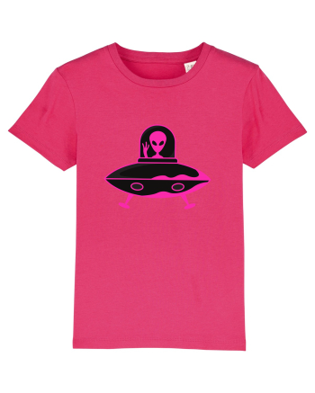 Alien And UFO Raspberry