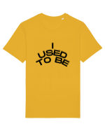 I used to be Tricou mânecă scurtă Unisex Rocker