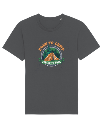 Born To Camp Forced To Work Anthracite
