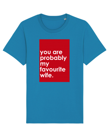 You Are Probably My Favourite Wife Azur