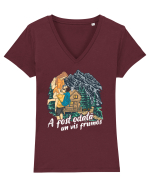 A fost odată un vis frumos Tricou mânecă scurtă guler V Damă Evoker