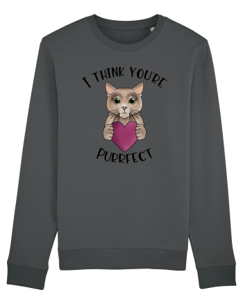 I Think You're Purrfect Anthracite