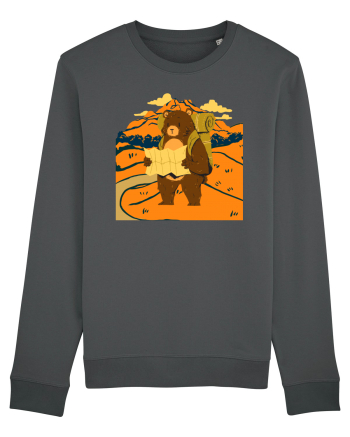 Hiking Bear Anthracite
