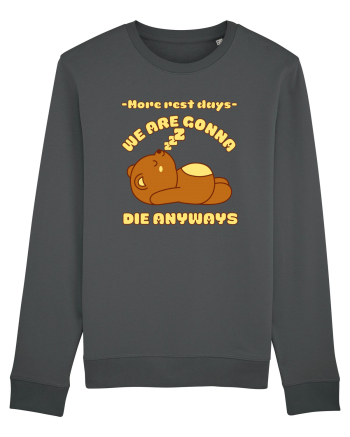 Funny Kawaii Bear Anthracite