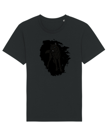 Black Wolf Black