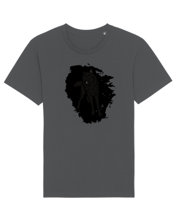 Black Wolf Anthracite
