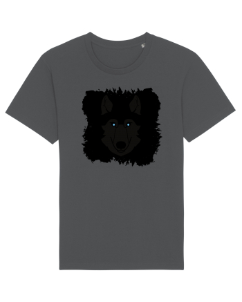 Black Wolf Anthracite