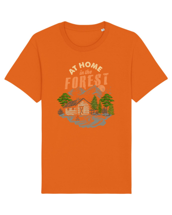 At Home in the Forest Bright Orange