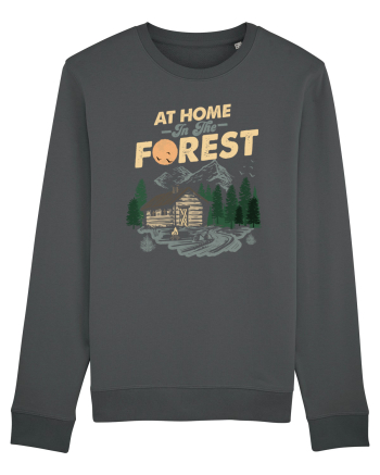 In the Forest Anthracite