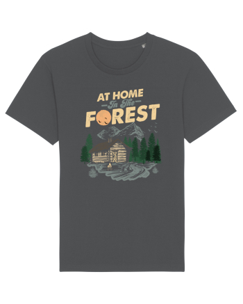 In the Forest Anthracite