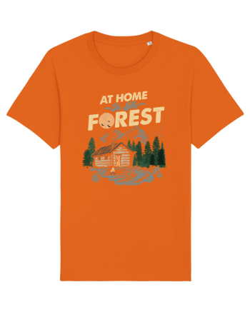 In the Forest Bright Orange