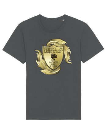 When the pimp is in the crib - medieval edition Anthracite