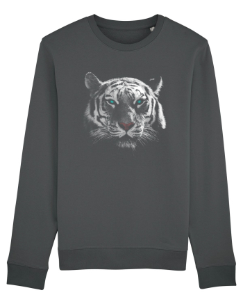 White Tiger Anthracite