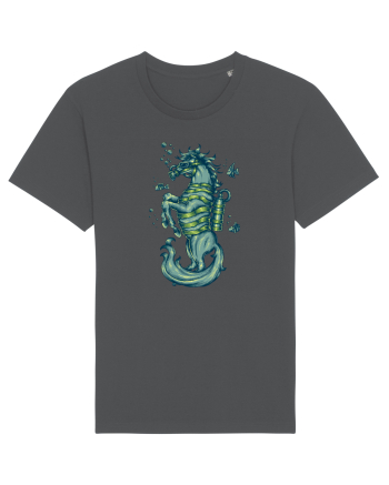 Scuba Seahorse Anthracite