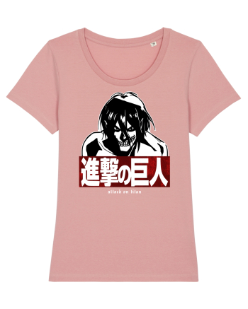 Attack on Titan Canyon Pink