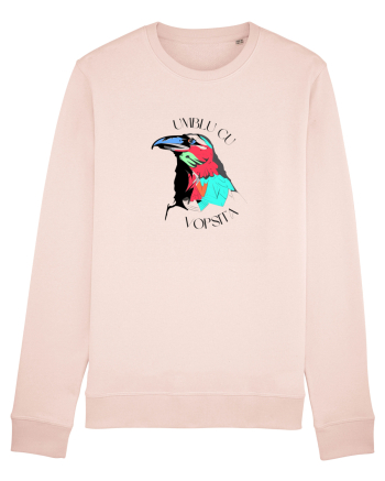 Umblu cu cioara vopsită Candy Pink