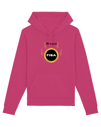 Mi-a picat fisa Raspberry