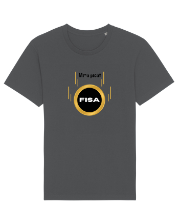 Mi-a picat fisa Anthracite