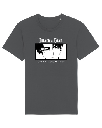 Attack on Titan Anthracite