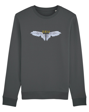ZEU Anthracite