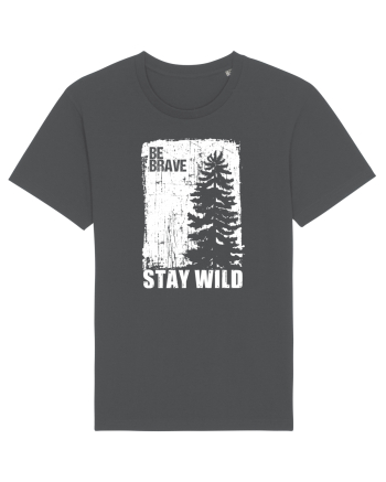 Stay Wild Anthracite