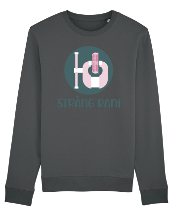Strâng bani Anthracite