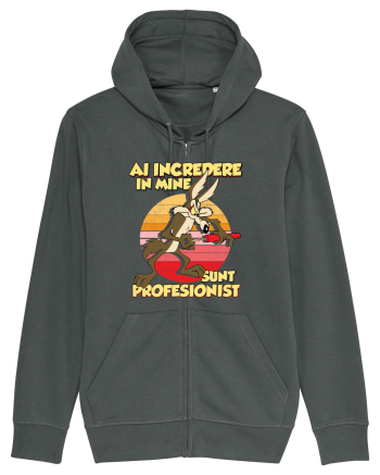 Ai încredere - Sunt profesionist Anthracite