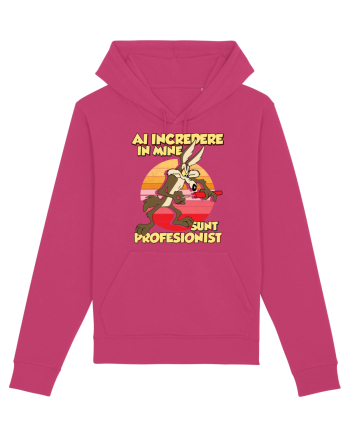 Ai încredere - Sunt profesionist Raspberry