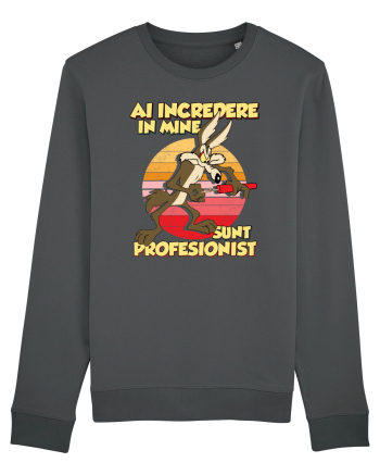 Ai încredere - Sunt profesionist Anthracite
