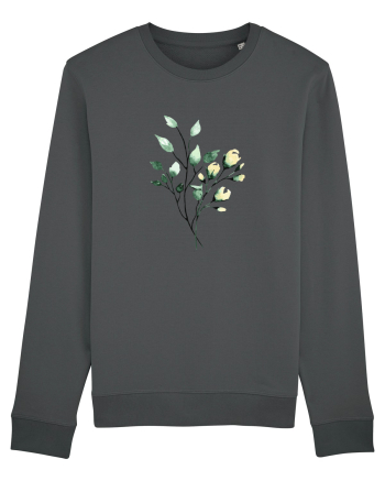 Blossom Anthracite