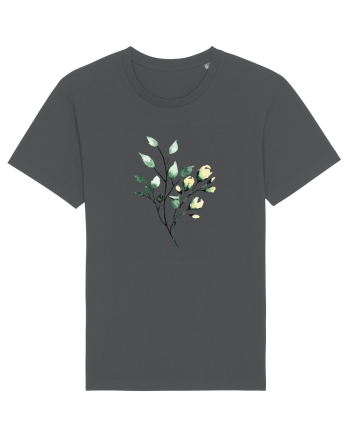 Blossom Anthracite