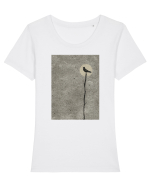 Moon Shadow Tricou mânecă scurtă guler larg fitted Damă Expresser