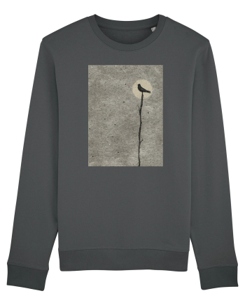 Moon Shadow Anthracite