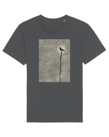 Moon Shadow Anthracite