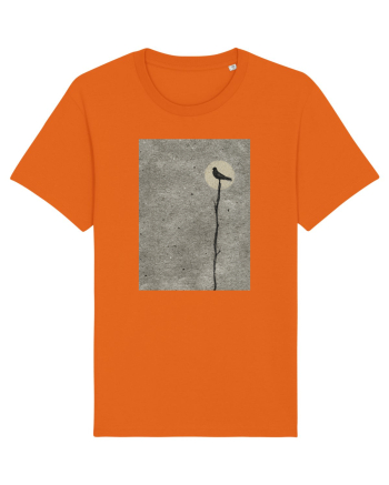 Moon Shadow Bright Orange