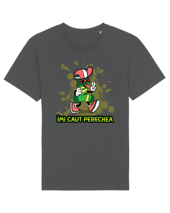 Imi caut perechea Anthracite