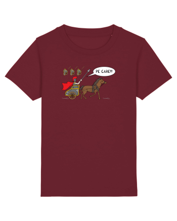pe CARE Burgundy