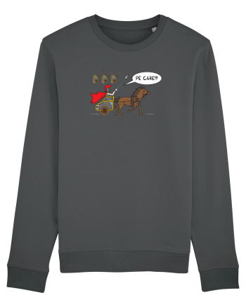 pe CARE Anthracite