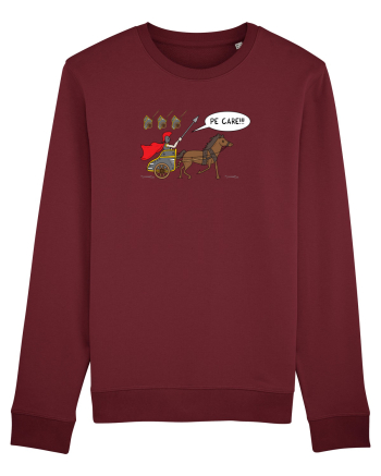 pe CARE Burgundy